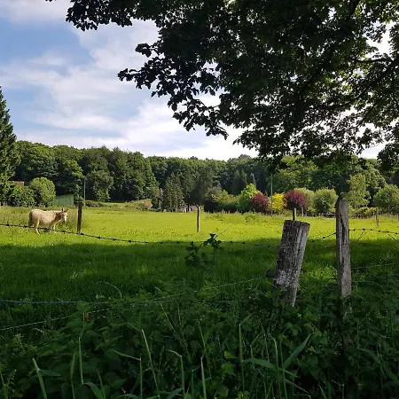 En Lisiere De Foret Andaine Perrou