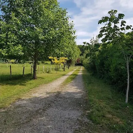 En Lisiere De Foret Andaine *