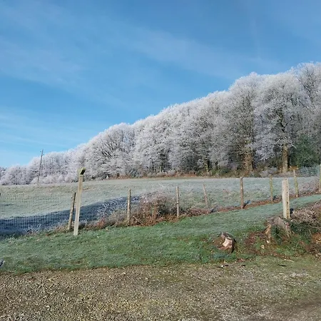 En Lisiere De Foret Andaine *