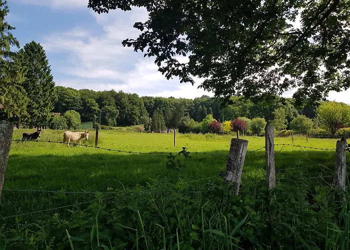 En Lisiere De Foret Andaine Perrou