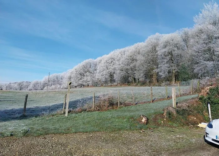 En Lisiere De Foret Andaine *